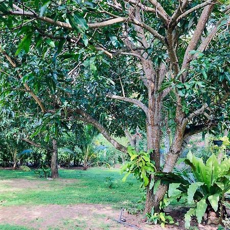 Glorious Villa Tangalle Exterior photo