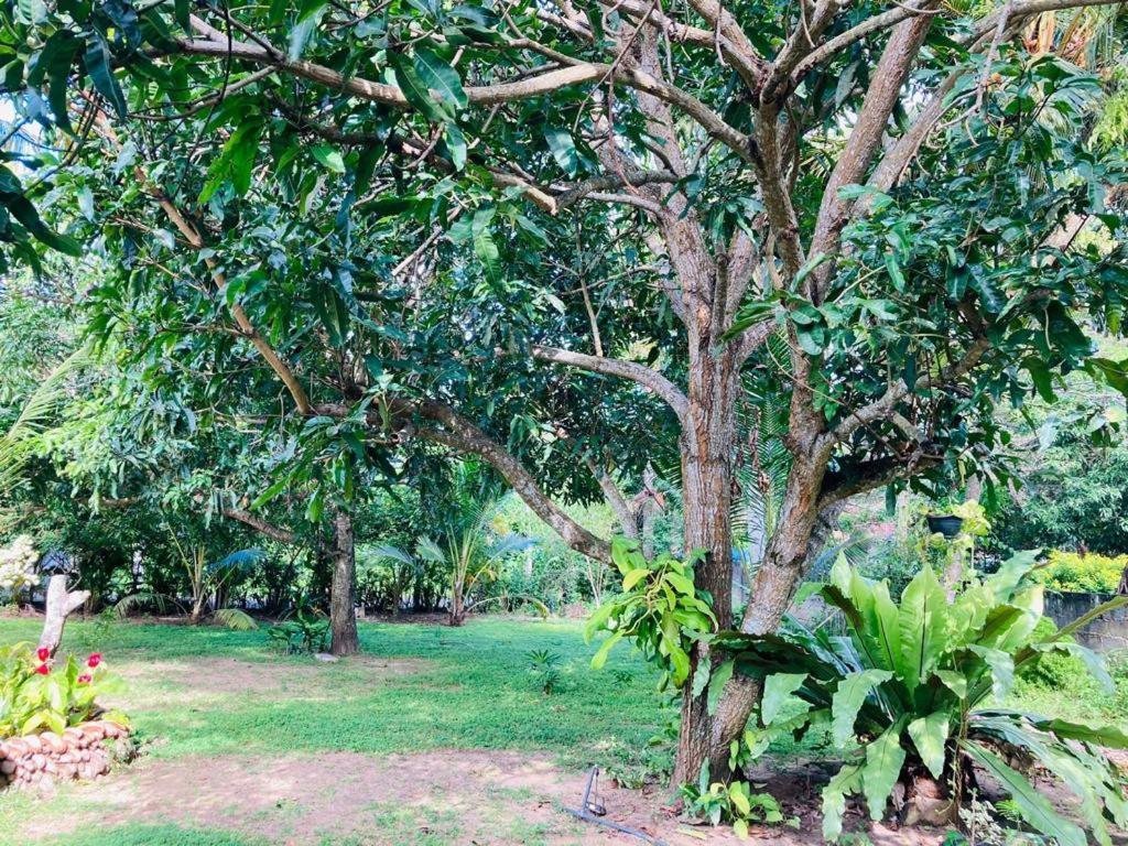 Glorious Villa Tangalle Exterior photo