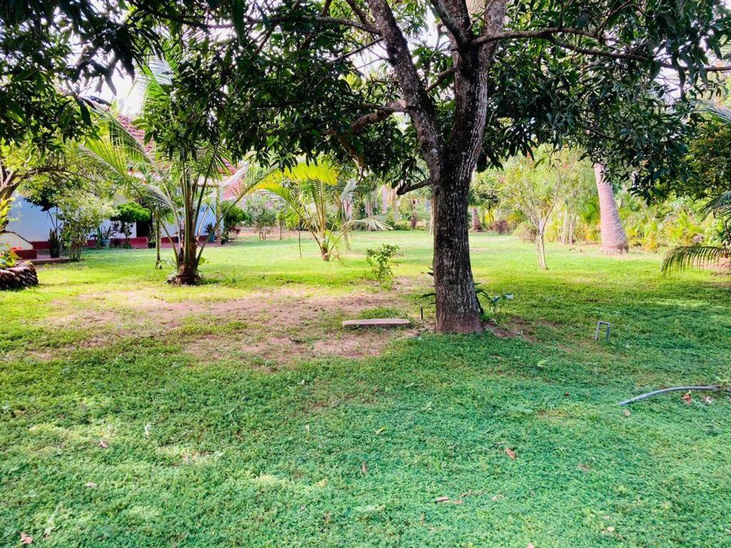 Glorious Villa Tangalle Exterior photo