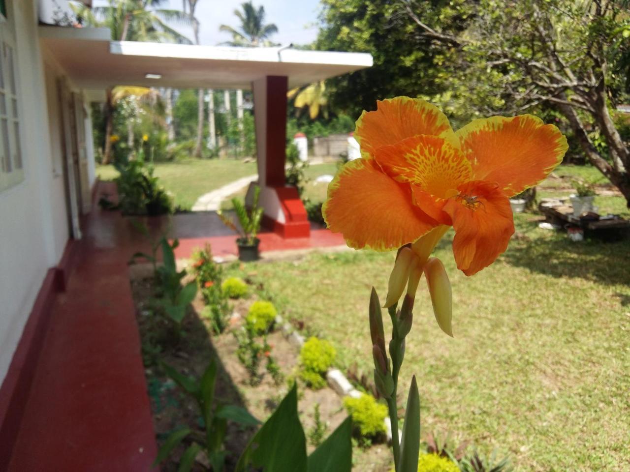 Glorious Villa Tangalle Exterior photo